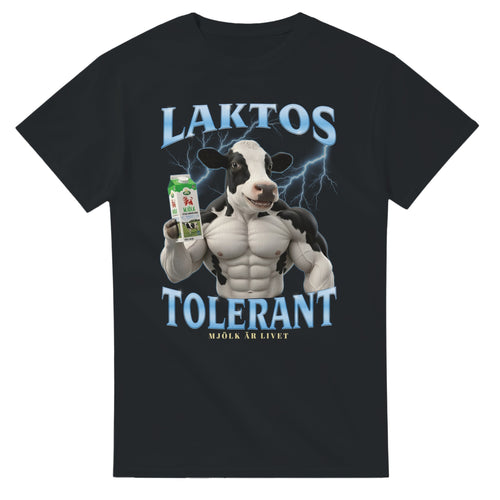 b2ca9e82-f13d-440b-a906-76a6f4e51ab2